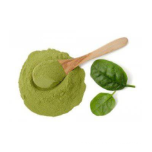 Air Dired Organic Spinach Powder in Bulk Supply